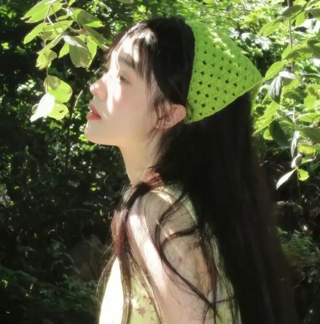 莫莉计划
