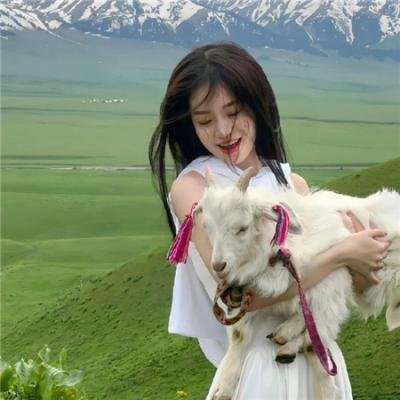 第二扇窗